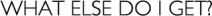 Orca Website Franchise