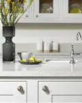 Recession-Proof Business Ready For Bounce Back